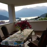 Sole * كوليكو