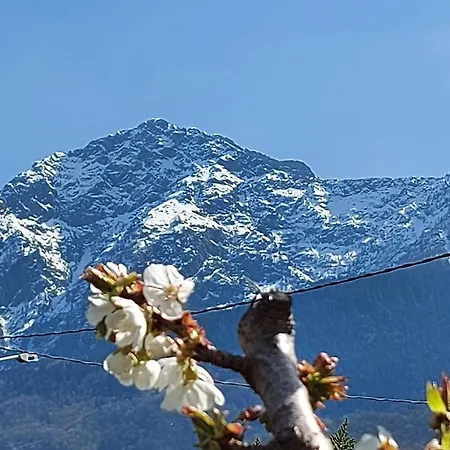 Casa de Férias Sole Colico